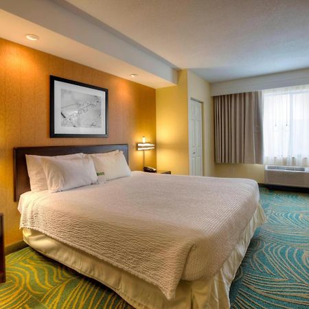Springhill Suites By Marriott - Tampa Brandon Buitenkant foto