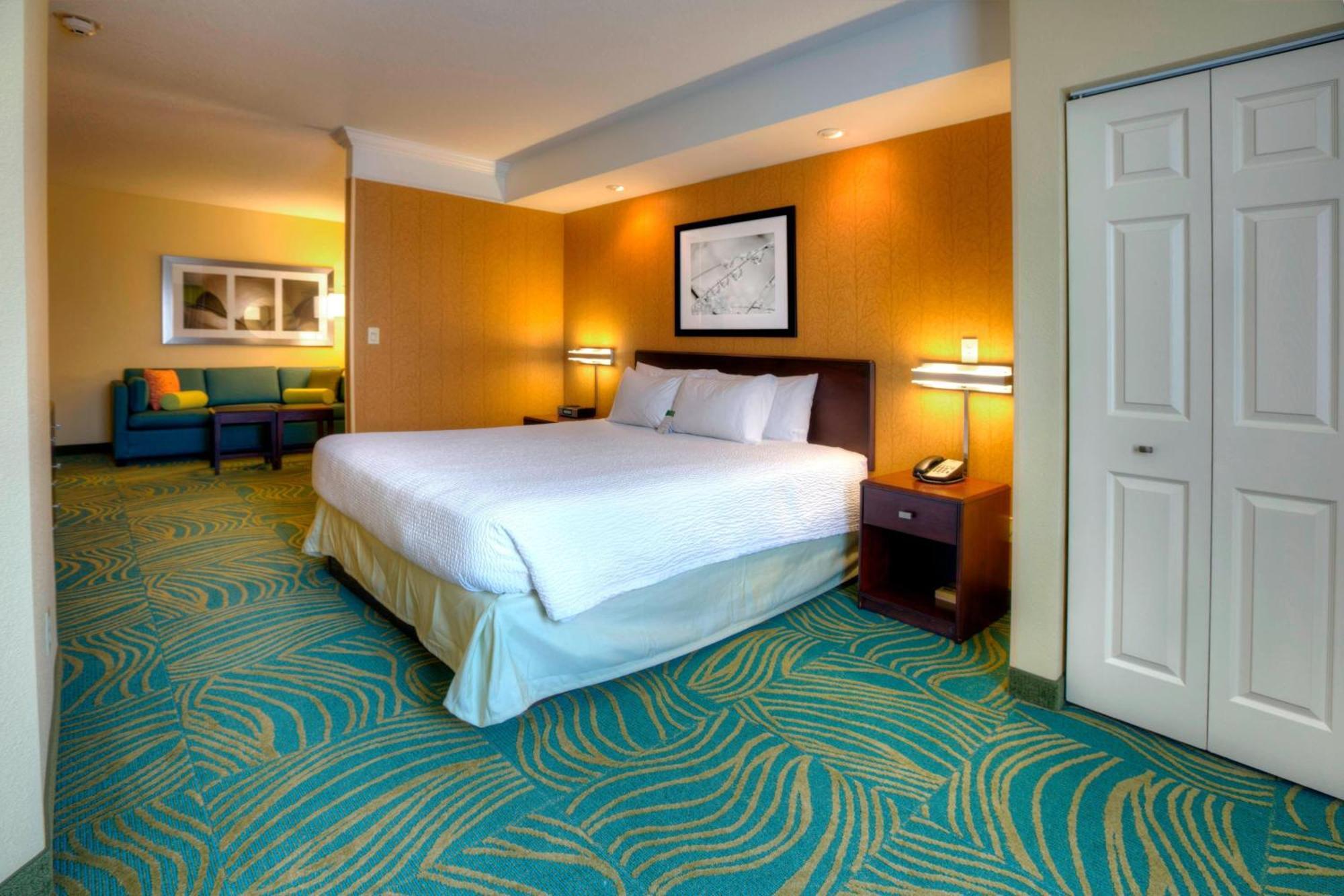 Springhill Suites By Marriott - Tampa Brandon Buitenkant foto